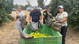 ההסתדרות הלאומית מסייעת במאמץ לשימור החקלאות מעוטף עזה, צילום: יח"צ